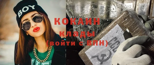 соль ск Алзамай