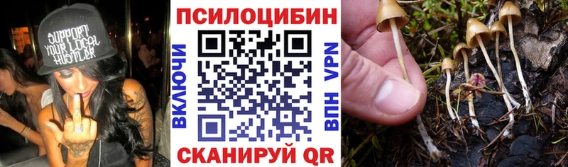 купить цена Ивантеевка Галлюциногенные грибы мицелий